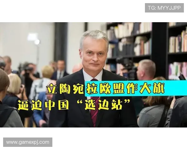 新普京在线注册公司遇到问题如何高效解决的实用技巧
