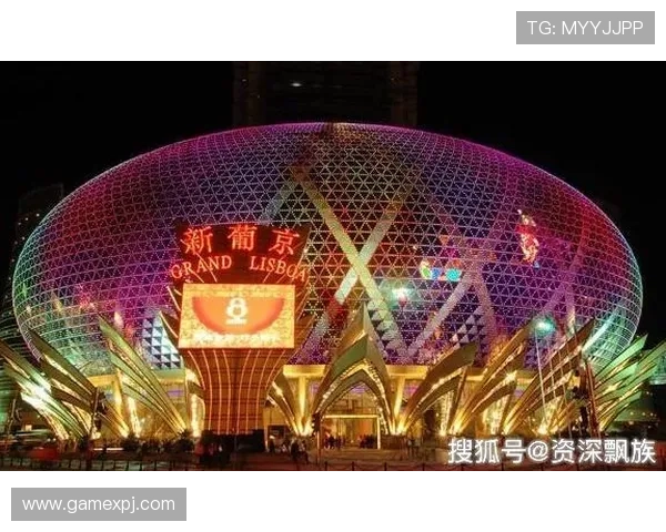 新葡京娱乐官网登录：优化登录体验的最新技术应用分析