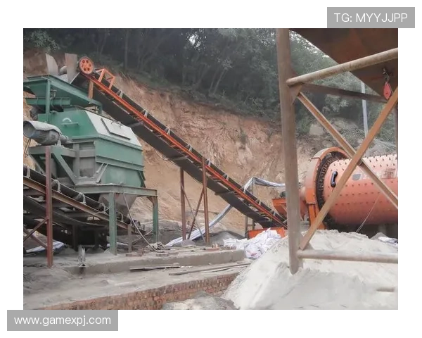 新普京网站客服多渠道支持体系介绍满足不同用户的多样化咨询需求