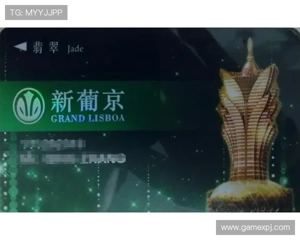 澳门新葡京注册登录入口官方网站入口地址，确保安全登录无忧