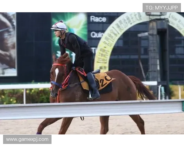 深入了解澳门赛马会赛事安排与精彩瞬间，掌握第一手赛事资讯